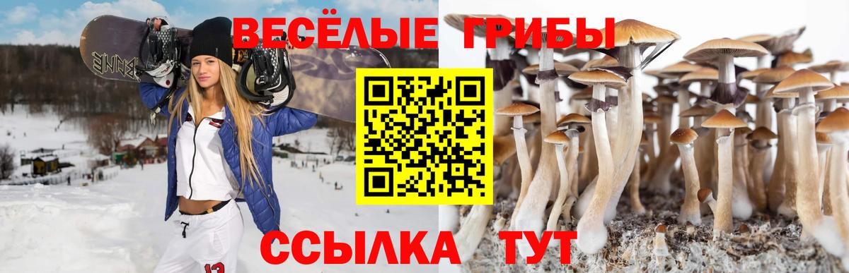 Псилоцибиновые грибы прущие грибы  Вход с VPN  Мирный 