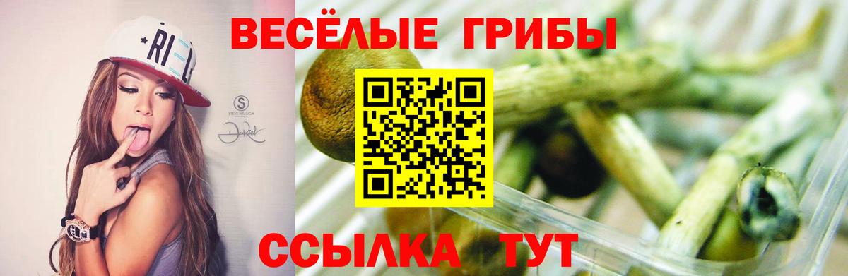Галлюциногенные грибы мицелий Мирный