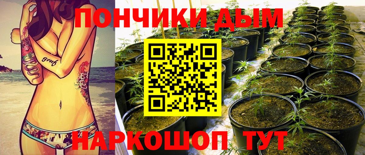 Конопля семена  Канабис AK-47  Конопля MAZAR  Марихуана THC 21%  Вход с VPN  Мирный 